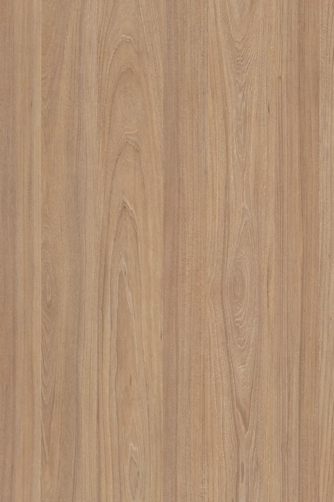 Campione finitura effetto legno Dark Rauna Elm, codice Y698 FS22